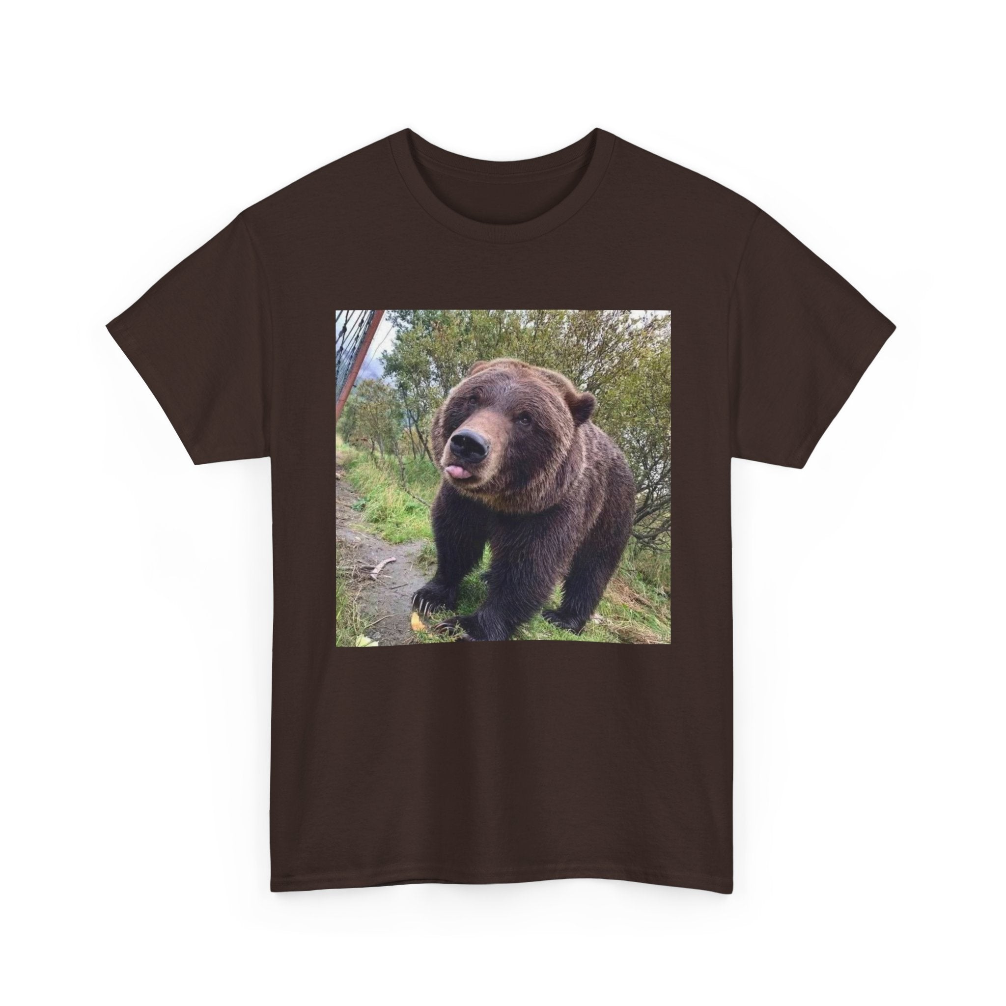 Silly Bear Tongue Tee
